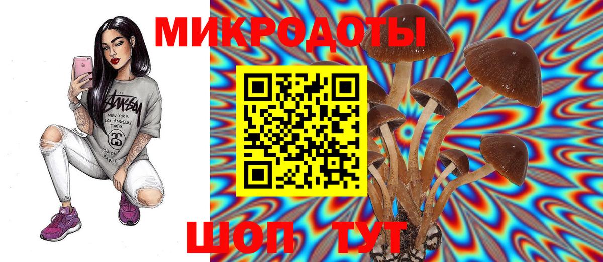 закладки  Вход с VPN  Кирово-Чепецк  Псилоцибиновые грибы мицелий 